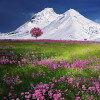 mountains-flowers